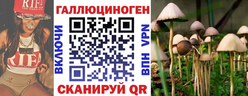 Псилоцибиновые грибы мухоморы  Гаврилов Посад 