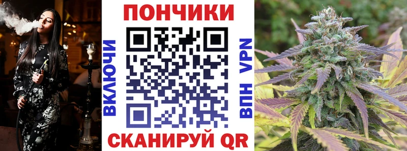 Бошки марихуана гибрид  Гаврилов Посад 